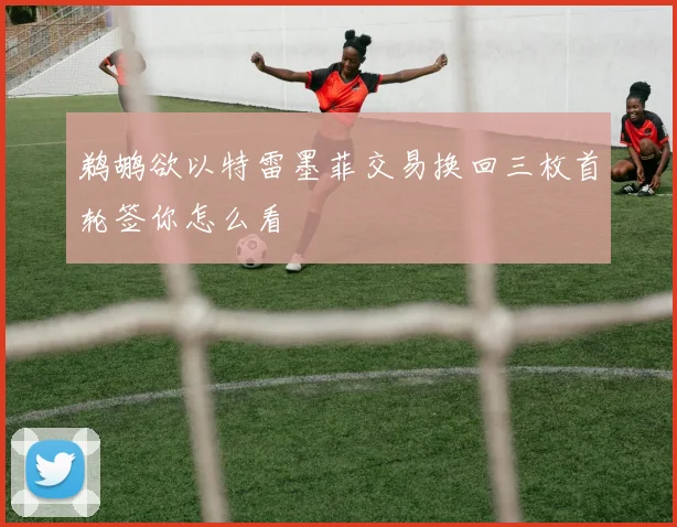 鹈鹕欲以特雷墨菲交易换回三枚首轮签你怎么看