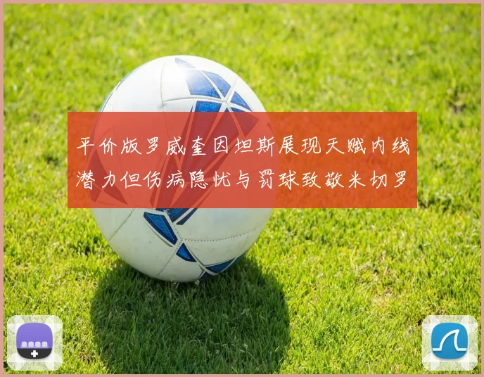 平价版罗威奎因坦斯展现天赋内线潜力但伤病隐忧与罚球致敬米切罗